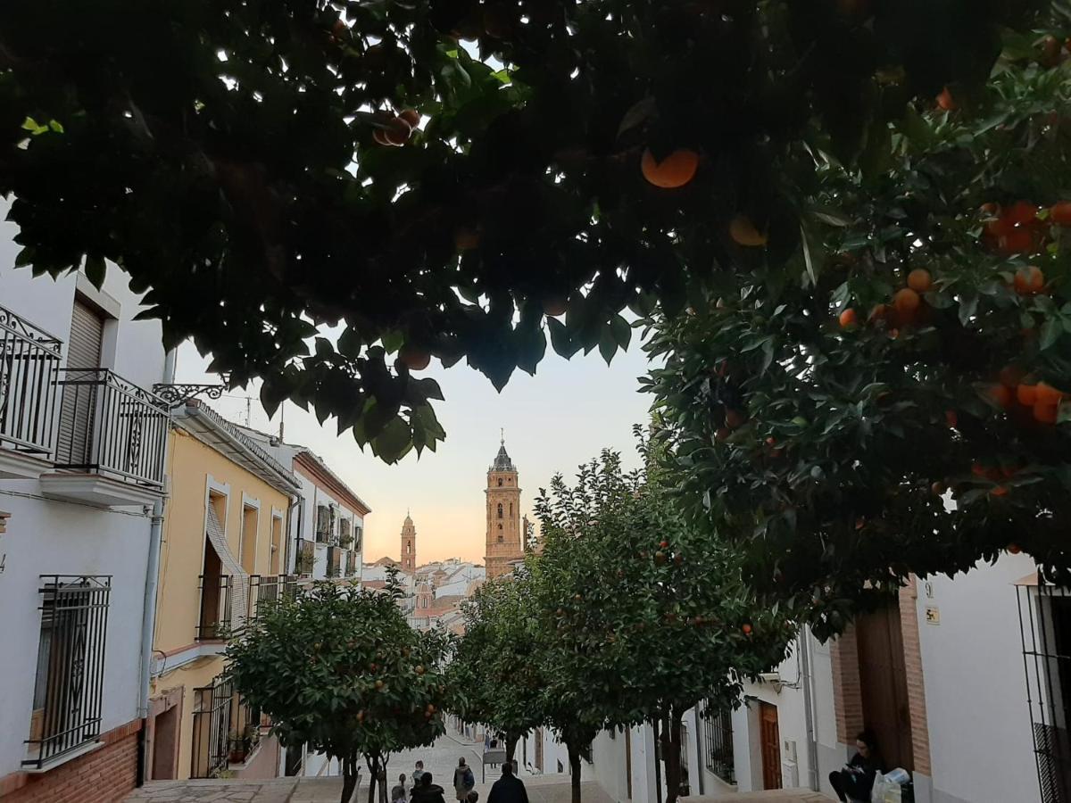 Apartamento Turistico La Vega 安特克拉 外观 照片